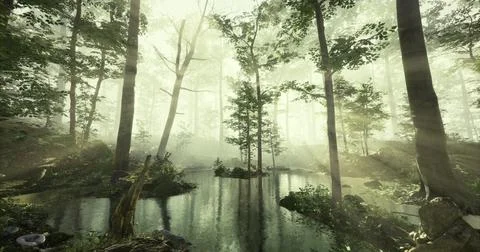 Sunlight filters through trees over a serene forest pond in early morning Ilustração Stock