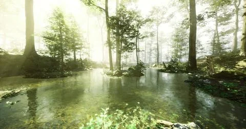 Sunlight filters through trees over a serene pond in a tranquil forest Ilustração Stock
