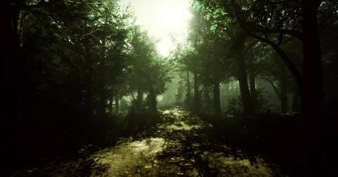 Sunlight filters through trees on a quiet forest path in evening light Stock Illustration