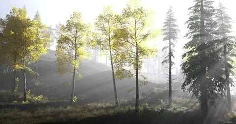 Sunlight filters through trees in a serene forest setting during autumn Stock Illustration