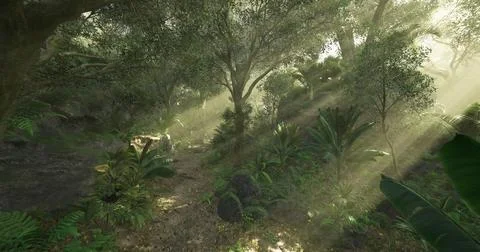 Sunlight filters through trees in a serene jungle landscape near a pathway Stock Illustration
