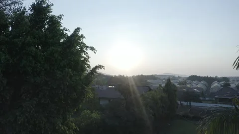 Sunlight flare through trees in a lush landscape Stock-Footage 327454261