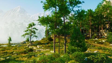 Sunlight floods the Alps, lighting up a multitude of trees Stock Illustration