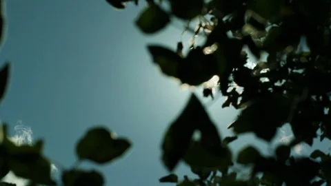 Sunlight 库存影片 123236017