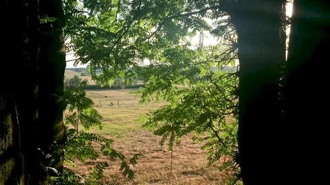 Sunlight Stockbeeldmateriaal 125824402