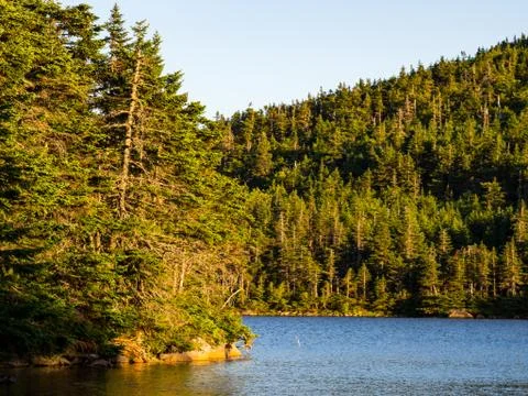 Sunlight on Forest Lined Mountain Pond Stock Photos