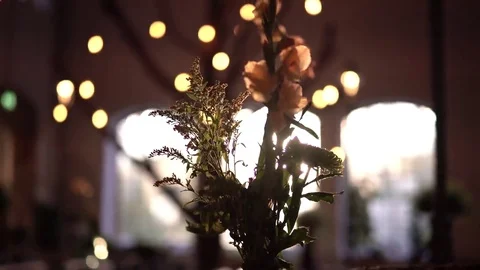 Sunlight Games with a Flower 4K Stock Footage 69092528