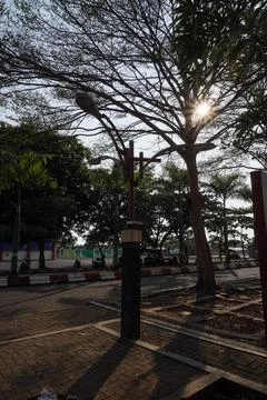 Sunlight in the gaps in the trees Stock Photos