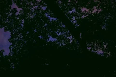 Sunlight getting through the clouds and mountains at sunset Stock Photos