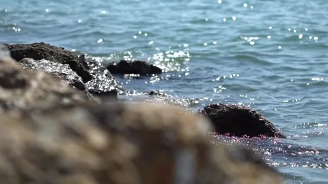 Sunlight glinting on ocean waves gently washing over weathered rocks, creating a 動画素材 335763724