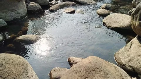 Sunlight glints on a serene rocky stream Vidéo 344087425