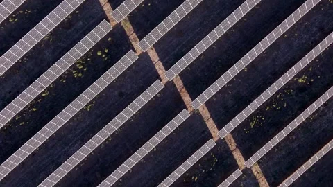 Sunlight glints off solar panels in a grid pattern Vídeos de archivo 346065587