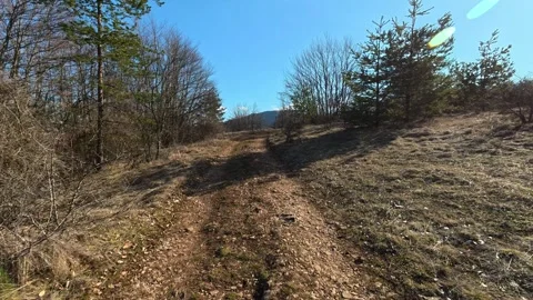Sunlight glints through sparse trees. Kozji Kamen Viewpoint Видео 331873346