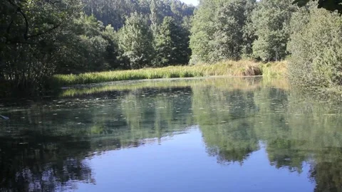 Sunlight Glistening on Lagoon Surface with Floating Algae and Organic Matter Видео 340667008