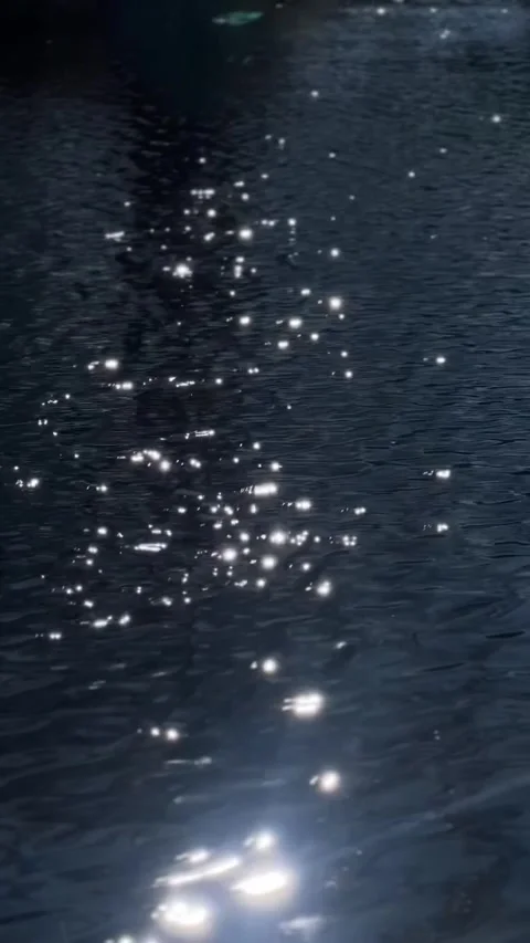 Sunlight Glistening on Water Surface Stock Footage 310877595