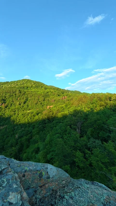 Sunlight glows through tree canopy. Sokolica rock, Serbia. Vertical Stock Footage 341132750