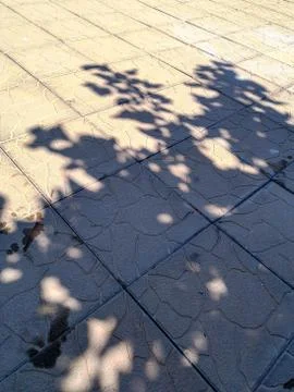 Sunlight high angle view Nature no people day pattern focus on shadow street Stock Photos