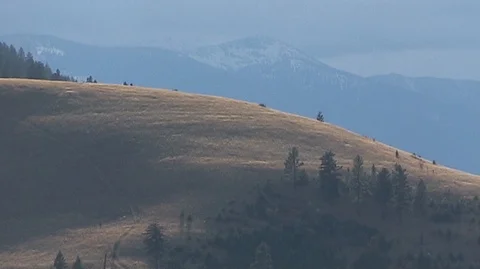 Sunlight on Hillside in Montana Stock Footage 93205275