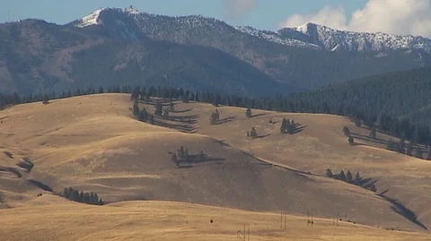 Sunlight on Hillside in Montana Stock Footage 93514738