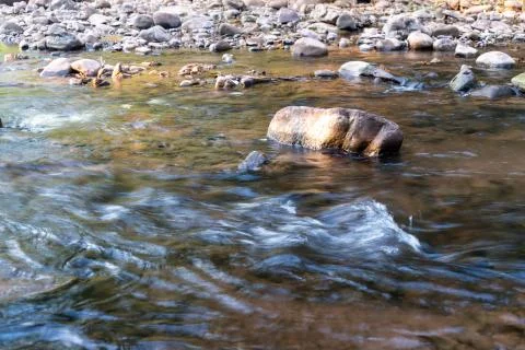 The sunlight hit the rocks in the stream with cool clear water flowing Stock Photos