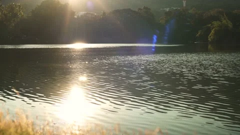 Sunlight hits the grass, warm sunlight on the water surface feeling of calm Stock Footage 169690488