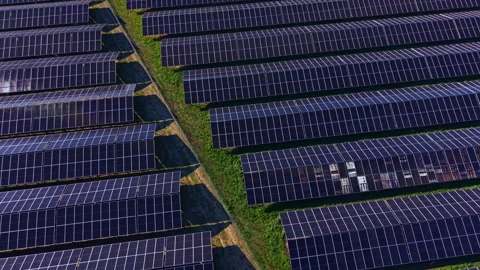 Sunlight hits large solar panel array in a solar energy field during midday Stock Footage 335406258