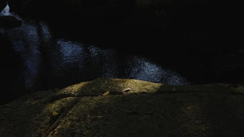 Sunlight Hitting Mossy Rock Surface Near Dark Forest River, Beautiful Nature Stock Footage 327796550
