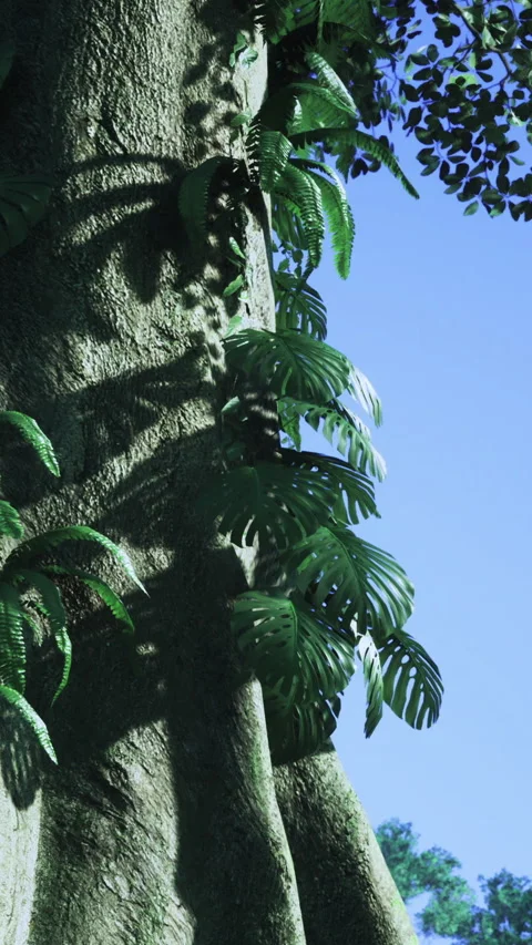 Sunlight hitting a tree trunk with green ferns during daytime in a forest 스톡 동영상 342448709