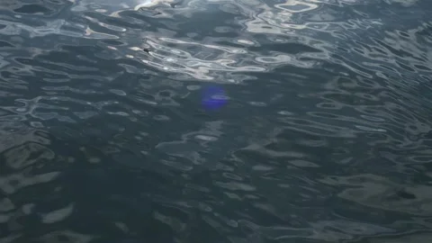 Sunlight hitting water surface of the sea, Kanagawa, Japan Video stock 325832452