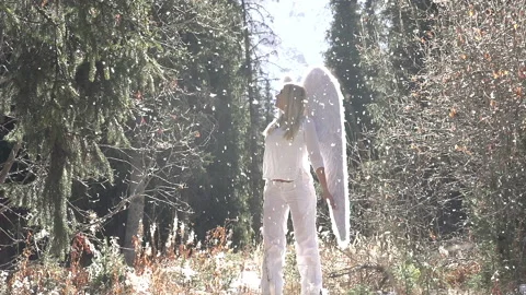 Sunlight Illuminates the Angel Stock Footage 141449098