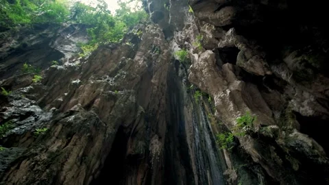 Sunlight illuminates the lush vegetation growing around the opening of the Stock Footage 308827628