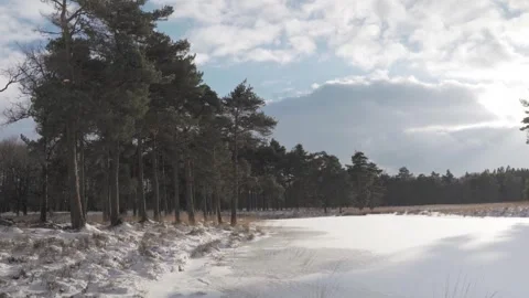 Sunlight illuminates a snowy forest as clouds drift across the sky Stock-Footage 293082021