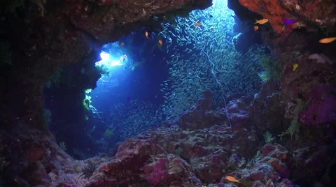 Sunlight Illuminates a Underwater Cave Stock Footage 53341397