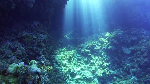 Sunlight Illuminates a Underwater Cave Stock Footage 64898808