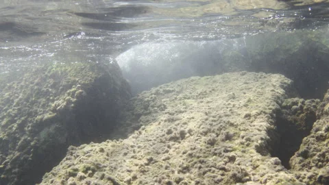 Sunlight illuminating algae covered rocks and marine life below the wavy water Vídeo Stock 343232467