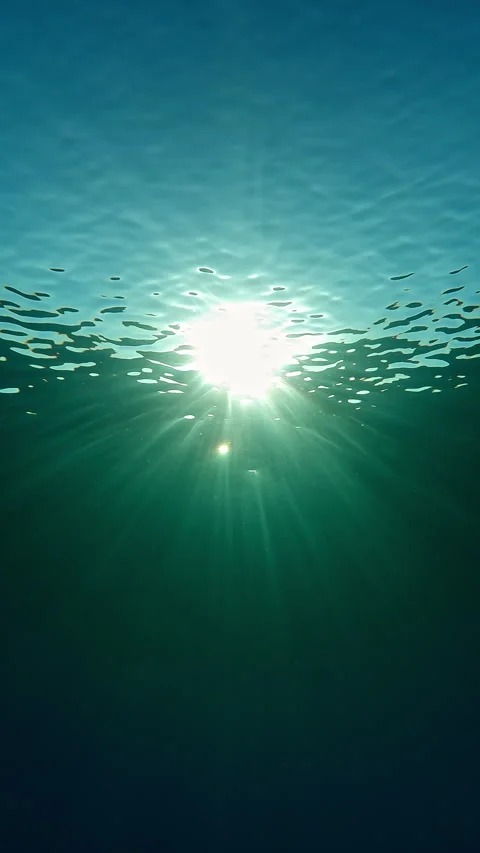 Sunlight illuminating sea below surface in calm weather in backlight Stock Footage 302765457