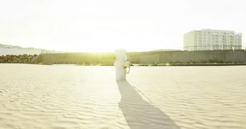 Sunlight illuminating a solitary object on a sandy beach at sunset Illustrazione stock