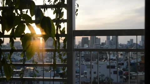 Sunlight leaking through leves on a balcony of an apartment in Ho Chi Minh City Stock Footage 156270438