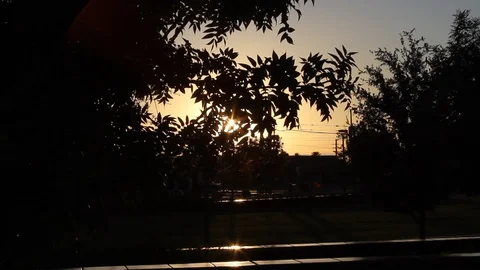 Sunlight Lens Flare Through Tree Arizona Stock Footage 120807040