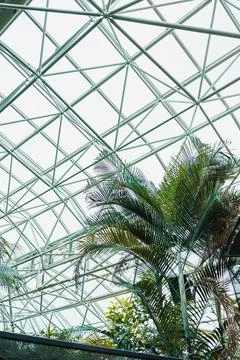 Sunlight lights up the interior of a glass structure. Green plants grow below 写真素材