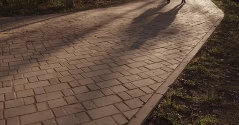 Sunlight makes its way through trees, in focus and out of focus, statics and not Stock Footage 75309354