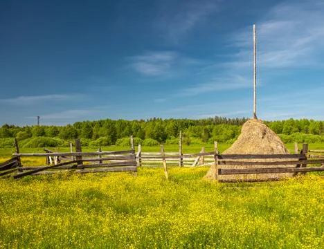 Sunlight meadow with haystack yellow buttercup Stock Photos