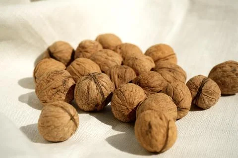 Sunlight on the nuts scattered on the tablecloth Stock Photos