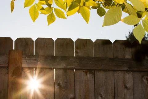 Sunlight outside Foto stock