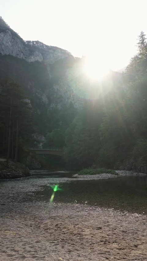 Sunlight Over a River in an Alpine Forest Valley Stock Footage 316745703
