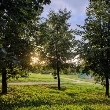 Sunlight at the park Foto stock