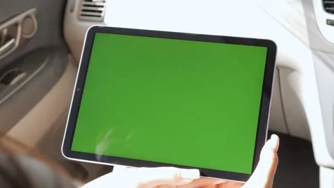 Sunlight passes through fresh green leaves Stock Footage 314268122