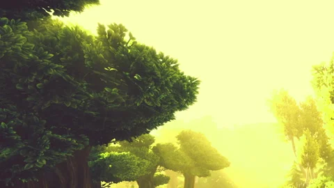 Sunlight passing through tree branches at a forest during early morning Stock Footage 344826614