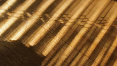 Sunlight passing through window blinds casting shadows on wooden floor Stock Footage 286007707