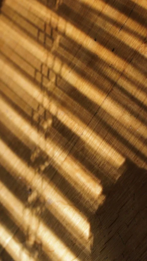 Sunlight passing through window blinds casting shadows on wooden floor.  Stock Footage 287453833